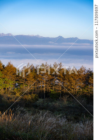 [Sea of clouds] Sea of clouds in the direction of the Northern Alps as seen from Takabocchi Plateau in autumn [Nagano Prefecture] 117809897