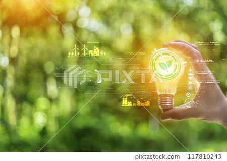concept eco earth day. green tree growing in a light bulb On the background blurred image of green leaves and there is a golden light in the morning. energy saving and environmental protection. concept eco earth day. green tree growing in a light bulb On the background blurred image of green leaves and there is a golden light in the morning. energy saving and environmental protection. 117810243