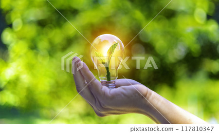concept eco earth day. green tree growing in a light bulb On the background blurred image of green leaves and there is a golden light in the morning. energy saving and environmental protection.. 117810347