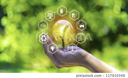 concept eco earth day. green tree growing in a light bulb On the background blurred image of green leaves and there is a golden light in the morning. energy saving and environmental protection.. 117810348