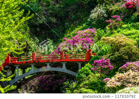 佑德稻荷神社的杜鵑花【佐賀縣鹿島市】 佑德稻荷神社的杜鵑花【佐賀縣鹿島市】 117810792