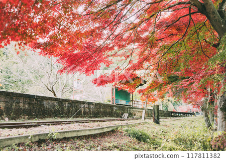 Autumn leaves and seasonal cherry blossoms at Mikawa Hirose Station 117811382