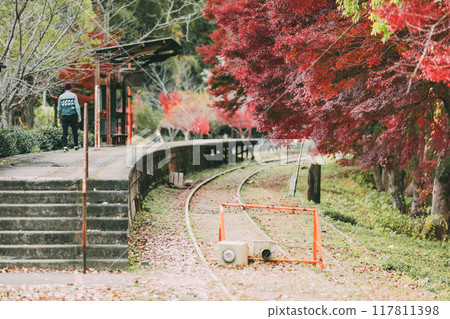 Autumn leaves and seasonal cherry blossoms at Mikawa Hirose Station 117811398