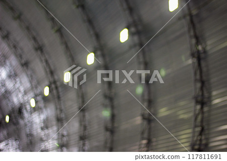 Blurred Rhythms Blurred Rhythms 117811691