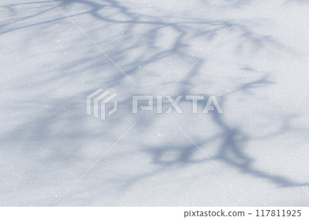 Shadow of a tree reflected in a snowy field 117811925