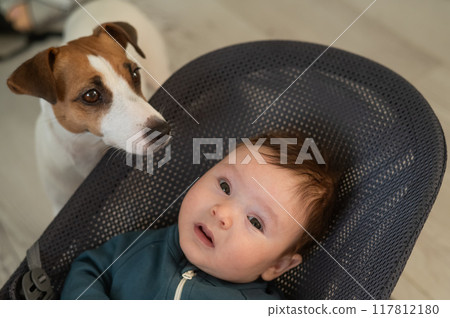 A dog sits next to a cute three-month-old boy dressed in a blue overalls in a baby lounger. 117812180