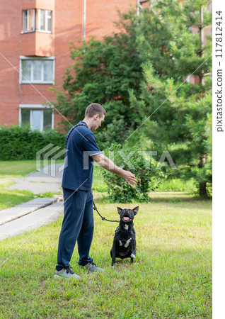 A Caucasian man trains his pit bull terrier dog to jump. Vertical photo.  117812414
