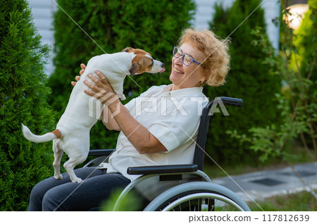 Elderly caucasian woman hugging a jack russell terrier dog while sitting in a wheelchair on a walk outdoors.  117812639