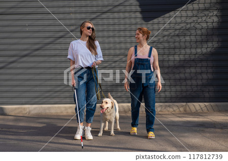 Blind caucasian woman walking with guide dog and pregnant girlfriend.  117812739
