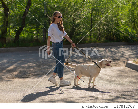 Blind woman walking with guide dog in the park. Blind woman walking with guide dog in the park. 117812768