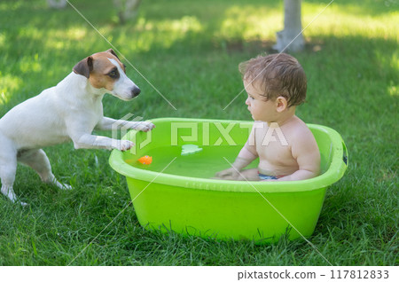 Cute boy bathes in a basin with a Jack Russell terrier dog outdoors in the summer. Cute boy bathes in a basin with a Jack Russell terrier dog outdoors in the summer. 117812833