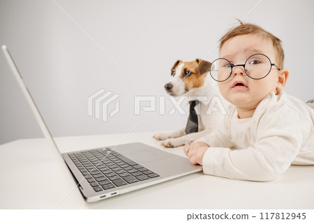 Cute baby boy and Jack Russell terrier dog working on a laptop.  117812945