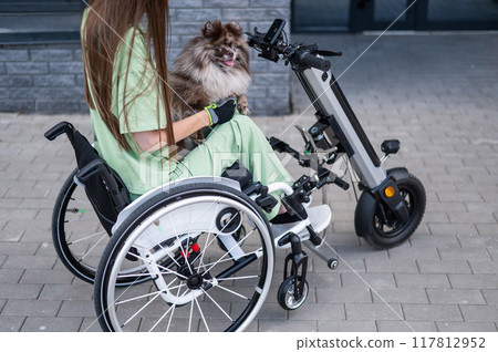 A woman in a wheelchair with a hand-control assist device carries a Spitz merle dog. Electric handbike. A woman in a wheelchair with a hand-control assist device carries a Spitz merle dog. Electric handbike. 117812952
