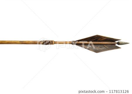 Traditional wooden arrow with plumage 117813126