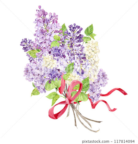 A bouquet of lilacs with a red silk bow on a white background. White, violet and violet spring watercolor flowers. Illustration for greeting cards depicting Mother's Day, Women's Day, wedding. 117814094