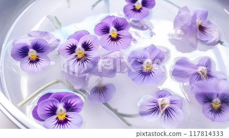 Pansy float on water. Purple flowers close up. Macro floral background top view. 117814333