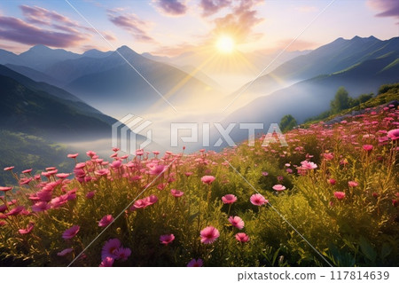 Blooming meadow among mountains. High peaks and flowers. Beauty in nature. Blooming meadow among mountains. High peaks and flowers. Beauty in nature. 117814639