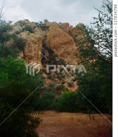 Film Image Sonora Desert Arizona Film Image Sonora Desert Arizona 117814798