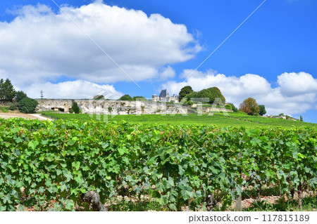 Bordeaux, France. Vineyards of Saint-Emilion. Photo taken on August 15, 2024. 117815189