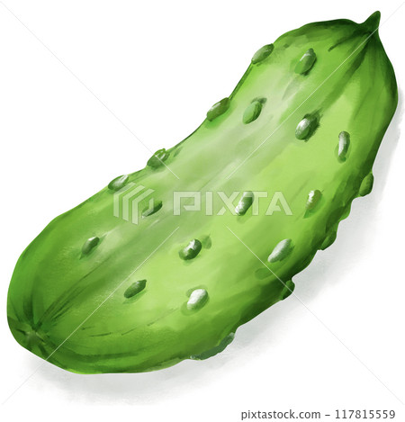 reen cucumber so fresh in garden reen cucumber so fresh in garden 117815559