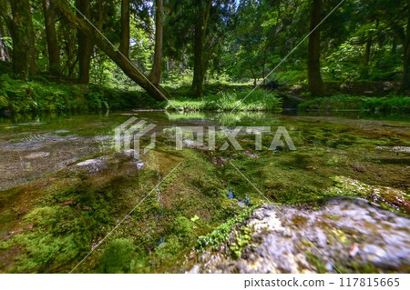 [Kyushu, Kumamoto] Yamabuki Spring. Surrounded by virgin forest at the foot of Mount Aso, this mysterious, beautiful spring has a very clear water. 117815665