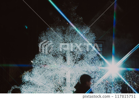 箱根美麗的燈飾 117815751