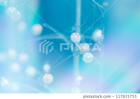 Beautiful illuminations in Hakone Beautiful illuminations in Hakone 117815753