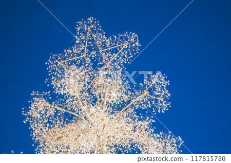 Beautiful illuminations in Hakone Beautiful illuminations in Hakone 117815780