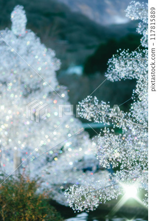 Christmas illuminations in Hakone 117815889