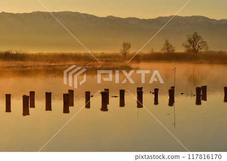 Fukushima-dora in the morning (Niigata) 117816170