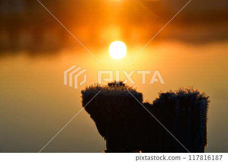 Fukushima-dora in the morning (Niigata) 117816187