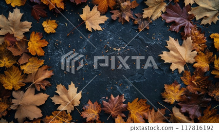 Autumn Leaves Border on White Background Autumn Leaves Border on White Background 117816192