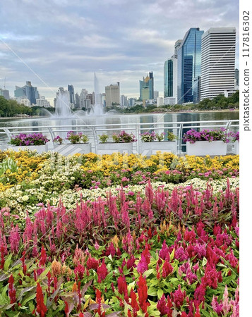 Flower bed in a park in Bangkok, Thailand Flower bed in a park in Bangkok, Thailand 117816302