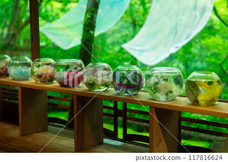 The garden of Yusaitei in Arashiyama, Kyoto The garden of Yusaitei in Arashiyama, Kyoto 117816624