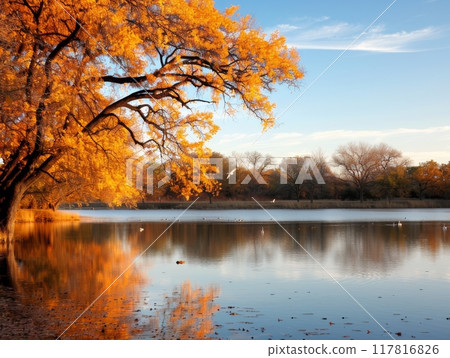 Autumn Reflections Over Calm Lake at Sunset in a City Park 117816826