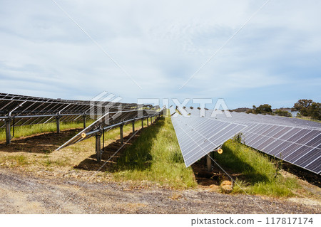 Winneke Solar Farm in Australia 117817174