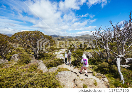 Porcupine Rocks Walk in Australia 117817190