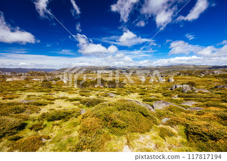 Porcupine Rocks Walk in Australia 117817194