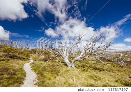 Porcupine Rocks Walk in Australia 117817197