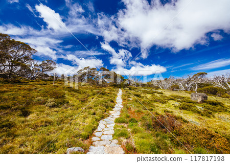 Porcupine Rocks Walk in Australia 117817198