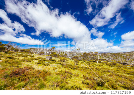 Porcupine Rocks Walk in Australia 117817199
