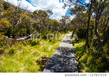 Thredo Views in Australia 117817219