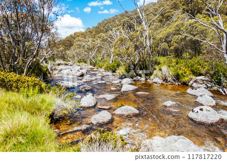 Thredo Views in Australia 117817220