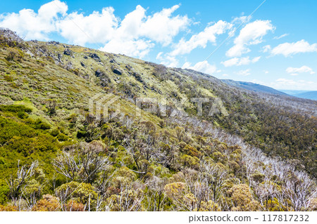 Thredo Views in Australia 117817232