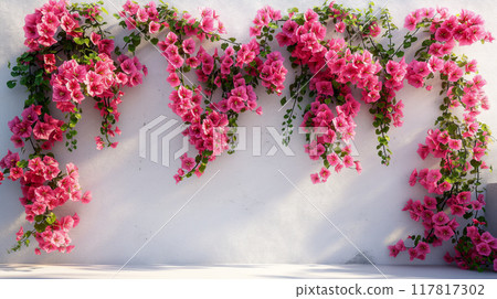 Bright pink bougainvillea flowers cascading down on white wall background. Generative AI 117817302