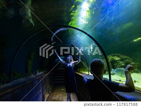 Mother and son watching sea animals in the aquarium tunnel. Weekend with kids, trip to the oceanarium. Snorkeling and diving, watching exotic fish and sea creatures 117817588