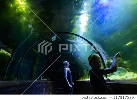 Mother and son watching sea animals in the aquarium tunnel. Weekend with kids, trip to the oceanarium. Snorkeling and diving, watching exotic fish and sea creatures 117817589