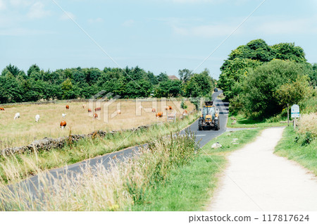 Teggs Nose Quarry, Peak District National Park, England, UK 117817624