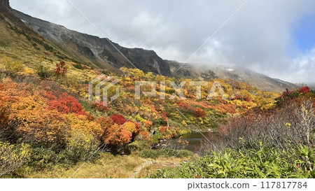 Autumn leaves of Takahara Swamp Autumn leaves of Takahara Swamp 117817784