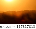 close up tree on mountain peak  sunset time. 117817813